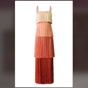 Ombre fringe dress